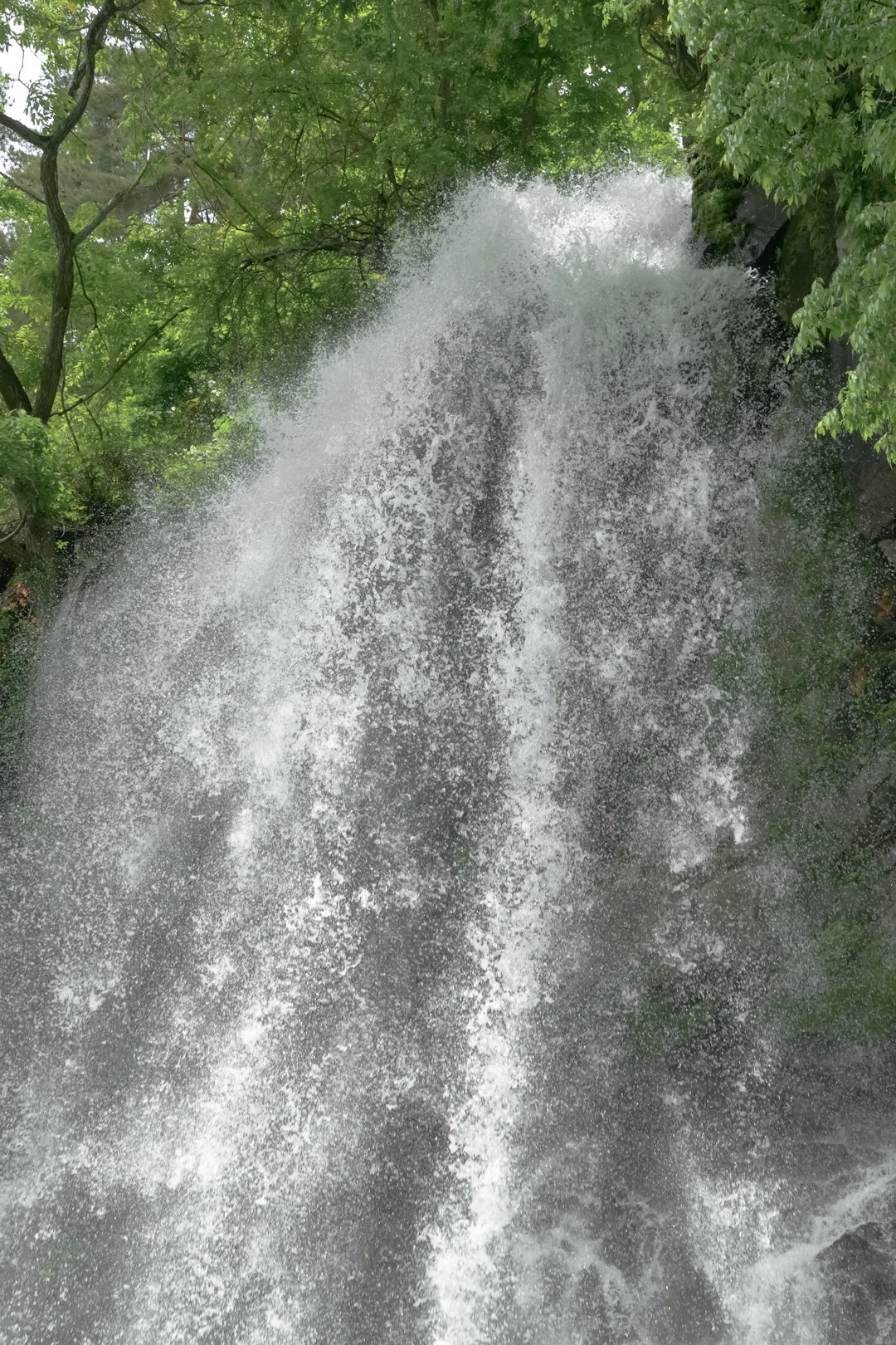 Beginner Yoga Foundation Course